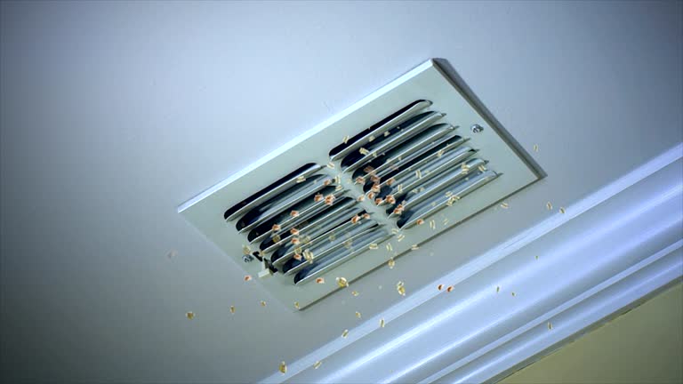 Best Commercial HVAC Duct Cleaning  in Freeport, IL