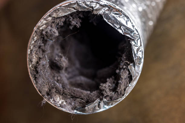 Best Home Air Vent Cleaning  in Freeport, IL