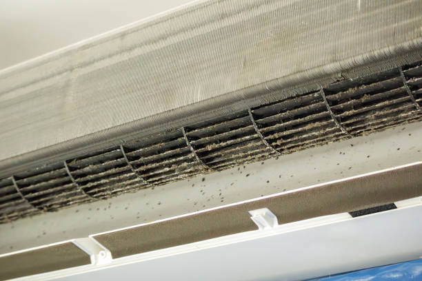 Best Ventilation Cleaning Services  in Freeport, IL