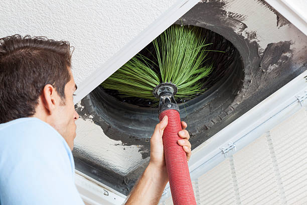 Best Air Duct Cleaning Company Near Me  in Freeport, IL