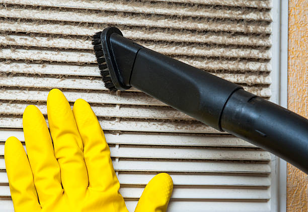 Best Air Duct Cleaning Company Near Me  in Freeport, IL